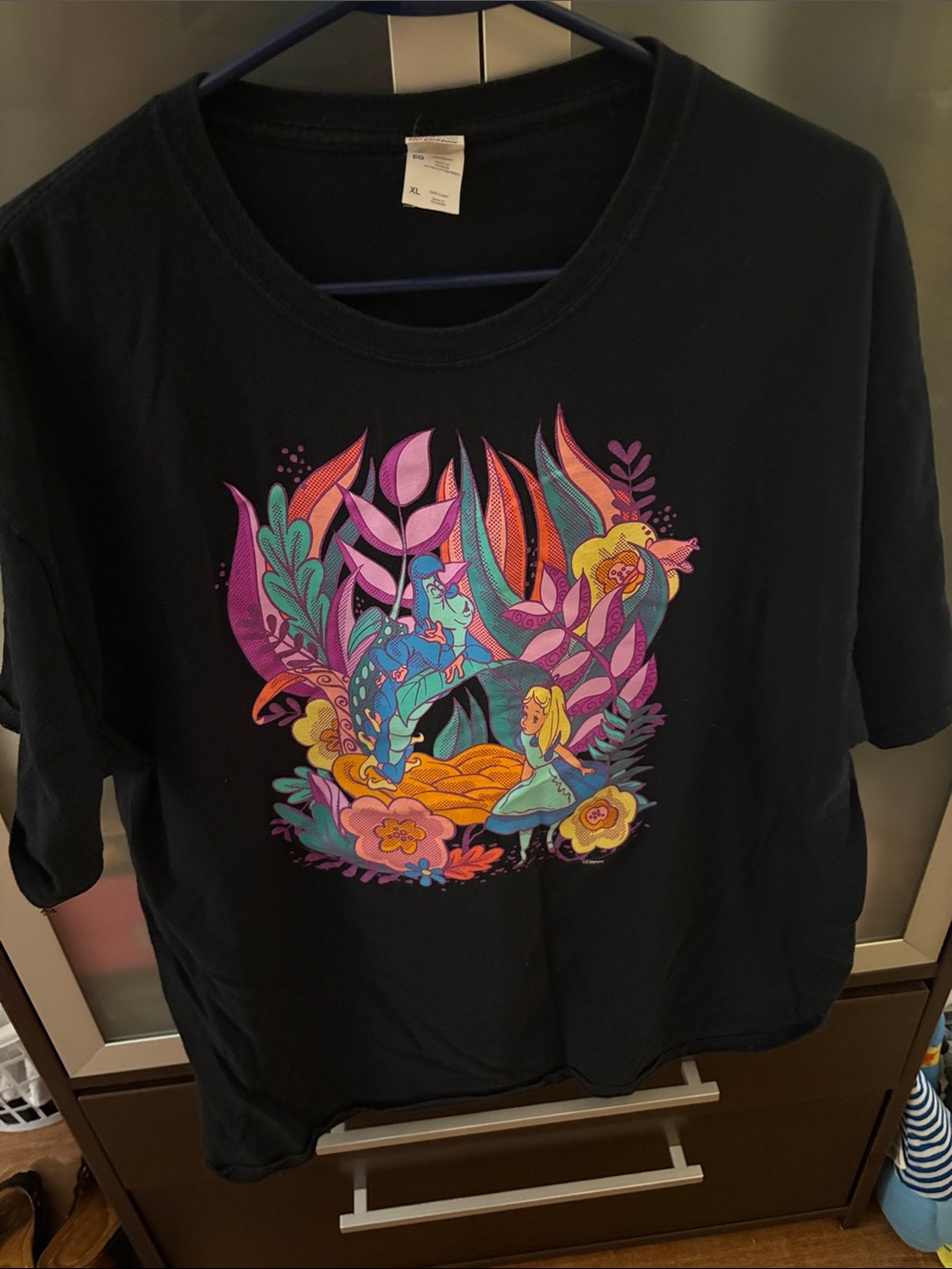 Fruit of the Loom Black Alice in Wonderland Graphic Tee with Multicolor Print